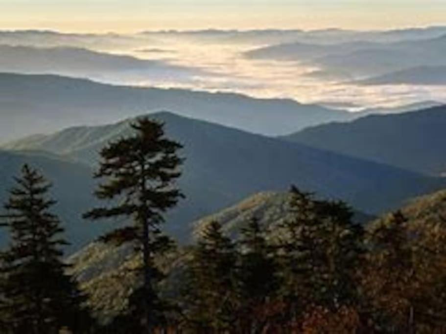 1 Mi To Dollywood Mins To All Attractions & Gsmnp Севьервилл Экстерьер фото