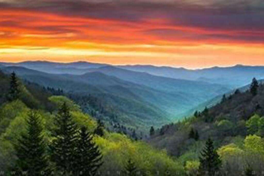 1 Mi To Dollywood Mins To All Attractions & Gsmnp Севьервилл Экстерьер фото
