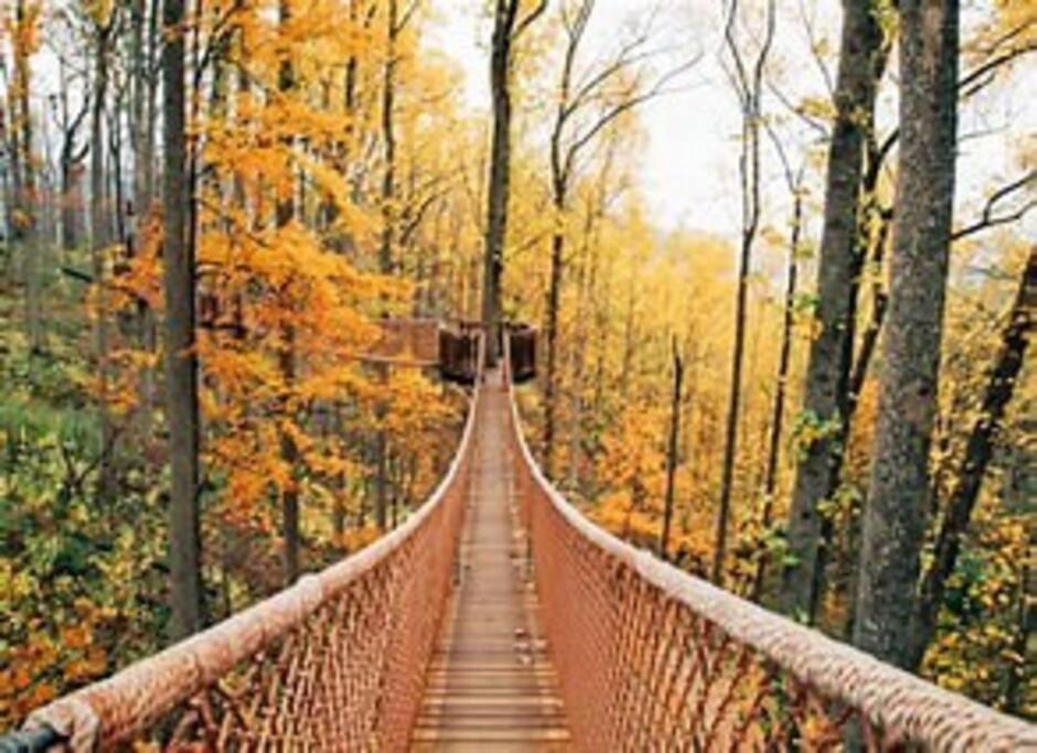 1 Mi To Dollywood Mins To All Attractions & Gsmnp Севьервилл Экстерьер фото